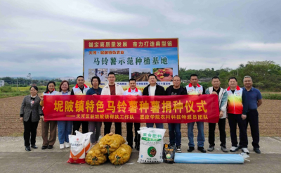 打好组合拳，盘活冬闲田！兴宁市坭陂镇特色马铃薯种植项目首次落地 