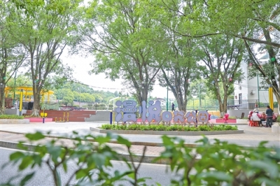 寿乡蕉岭·桂花