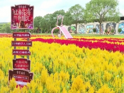 文明旅游蔚然成风！双节假期，平远景美人更美