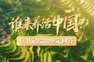 壹视界·微视频｜谁来养活中国？总书记给出坚定回答