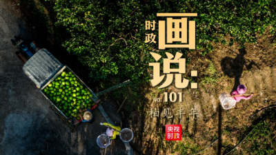 时政画说丨柚见丰年