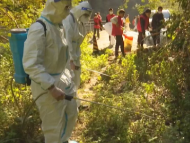 蕉岭县开展蚊虫消杀与卫生清洁行动