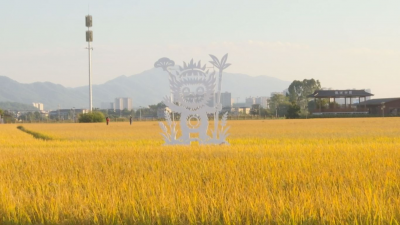 聚“蕉”客商大会好声音！客商盛赞蕉岭生态美环境优潜力大前景广