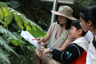 瞧！一场奇妙的 “丛林奇遇”，从这里出发