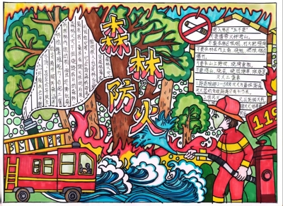 大埔小学郑晨希丨手抄报　