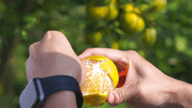 肇庆首届！正式启动！最高奖金1万元