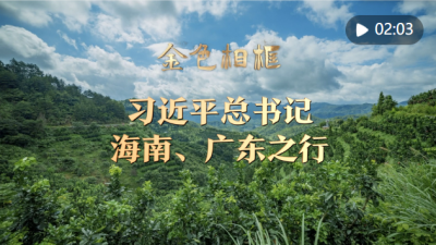 金色相框｜习近平总书记海南、广东之行 