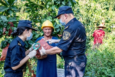 梅州柚加速“出海”闯世界！1-10月梅州出口柚果2326.5吨，同比增长52.9％