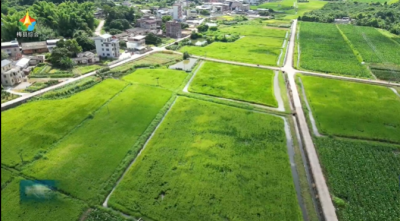荒地变良田，产业聚人气！梅县区南龙村以“组合拳”激活乡村振兴新动能