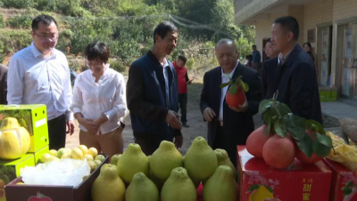 省戒毒局调研组到兴宁市径南镇调研