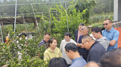 内容精准、形式多样！平远县2025年基层农技推广人员能力提升培训班圆满收官