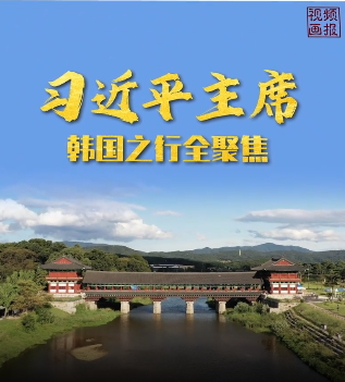 视频画报｜习近平主席韩国之行全聚焦