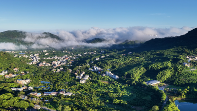 梅州V视丨习近平总书记考察梅州的足迹，迅速引发了广泛关注