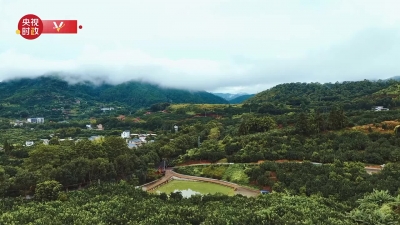 习近平广东行丨富民兴村“柚”产业——走进南福金柚种植基地