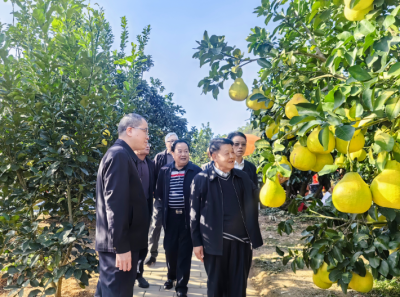 继续发挥余热积极建言献策！梅州组织副厅职以上离退休老同志开展参观考察活动