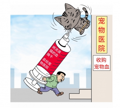 漫画｜动物血库灰产