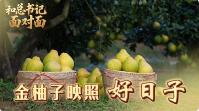 和总书记面对面｜金柚子映照好日子