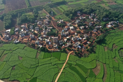 李青 | 大陆最南端的客家文化  ​——走访湛江徐闻客家村落