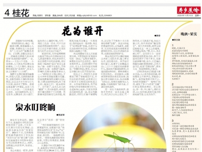 寿乡蕉岭·桂花