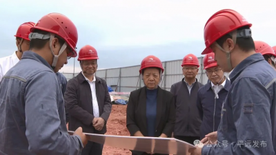 蓝伟东到平远调研：全力破难攻坚加快项目进度