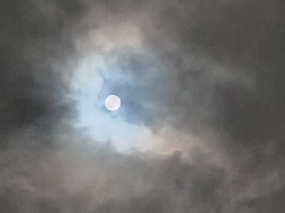 讲古台 | 大埔有个“打虎百岁公”