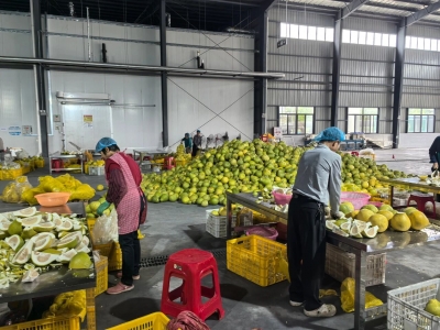 习近平总书记在广东考察时的重要讲话引发梅县区广大干部群众热烈反响