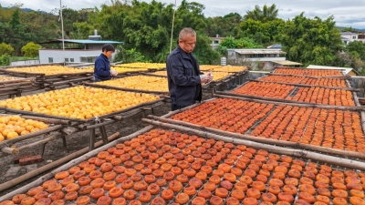 “晒秋” 啦！柿子变柿饼，晒出“甜蜜经济” ！