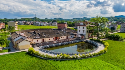 五华：文脉传韵 风物流香 绘就振兴新图景