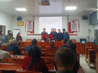 梅西镇驻镇帮镇扶村工作队举办特色农业观摩培训会