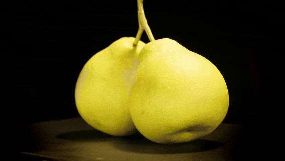 强装备延链条 “柚”见好“丰”景