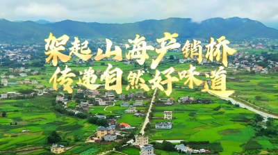 梅州V视丨架起山海产销桥 传递自然好味道——平远优品宣传片
