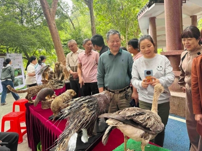 在绿水青山间来一场“森呼吸”！梅江区举行第六届广东省森林文化周活动