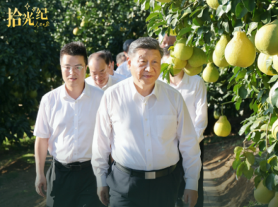 拾光纪·总书记多次考察广东，看习近平心系南粤大地