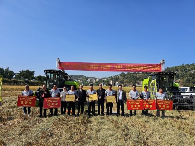 机收损失率最低0.08%！梅州8县（市、区）农机手稻田 “飙技”，这场水稻机收大比武太硬核