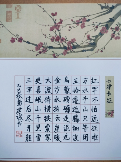 梅江区作新小学彭建诚丨书法