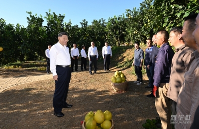 习近平总书记亲临广东视察并发表重要讲话，梅州党员干部群众深受鼓舞、倍感振奋：牢记嘱托感恩奋进 推动梅州苏区加快振兴共同富裕