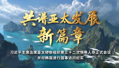 时政纪录片丨共谱亚太发展新篇章——习近平主席出席亚太经合组织第三十二次领导人非正式会议并对韩国进行国事访问纪实