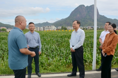 市人大常委会组织开展专项执法检查：促进新型农村集体经济发展