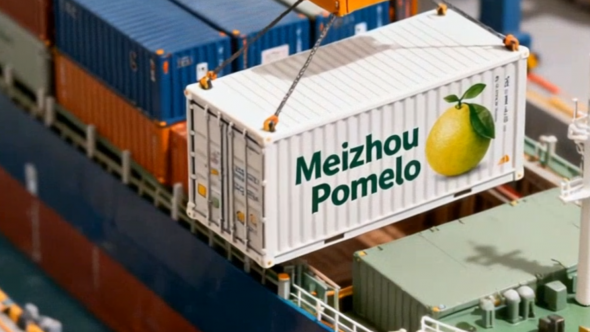 梅州V視丨梅州“柚”相見！