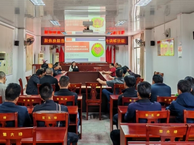 深耕法治沃土 培育和谐之花！丰顺县多措并举推动法治宣传教育走深走实