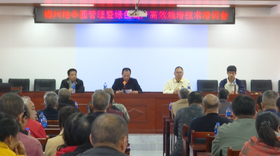 蕉岭举办梅州柚冬园管理暨绿色高产高效栽培技术培训会