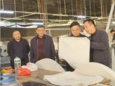 刘裕君到蕉城镇宣讲党的二十届四中全会精神并督导调研“百千万工程”和开展安全生产检查