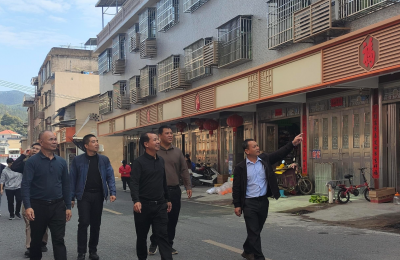 扮靓乡村 “面子” 做实民生 “里子”！丰顺县大龙华镇人大代表调研典型村项目建设