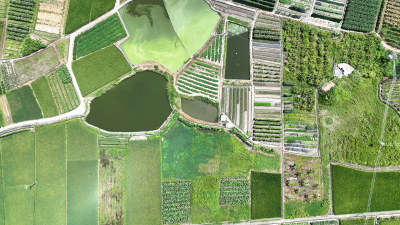 梅州V视丨走，带你去摘菜