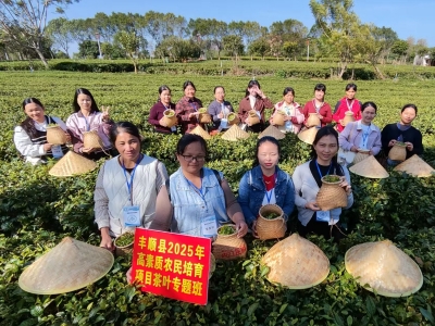 丰顺2025年高素质农民培育项目茶叶专题班，圆满结业！