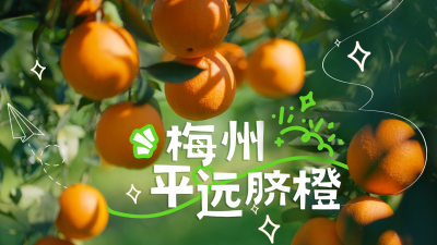 视频丨这个冬天又被广东橙子甜到了