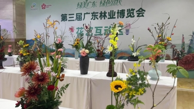 梅州V视丨第三届广东林业博览会插花艺术讲座及插花展示活动在梅州市世界客商中心举行