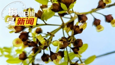 梅州日报早新闻丨广东，要下雨了！新一股冷空气也在路上；教育部：减少中小学日常考试测试频次