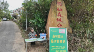 梅西镇多措并举开展森林防火工作