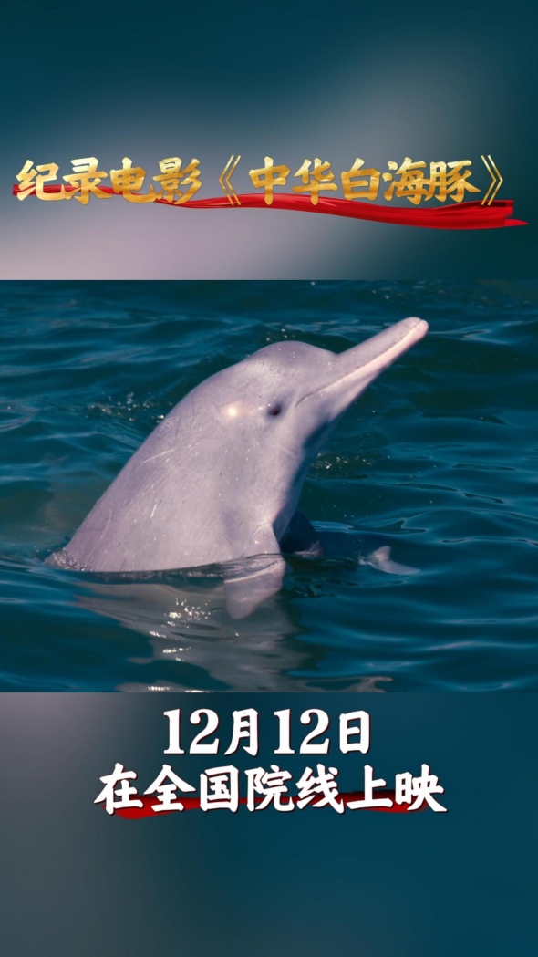 《中華白海豚》紀(jì)錄電影，全球首部！
